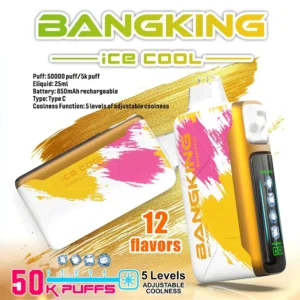 Bang King Ice Cool 50000 jednorázová e-cigareta - 50000 ťahov, chladivá príchuť, pre Slovenských zákazníkov