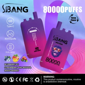 Bang Leader 80000 - detailný pohľad na moderný dizajn a bezpečný materiál